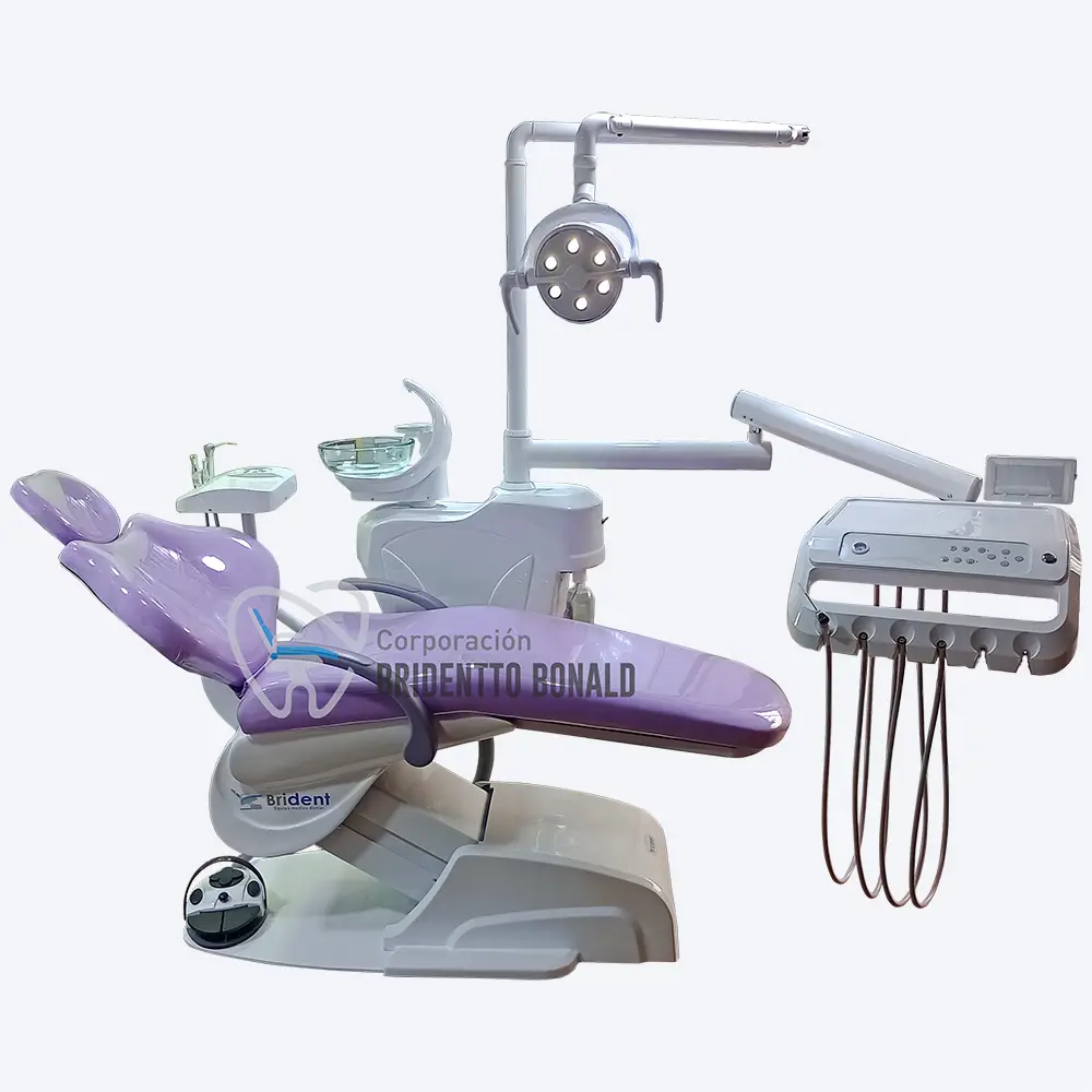 modelo de unidad annea B-A210-LILA-1